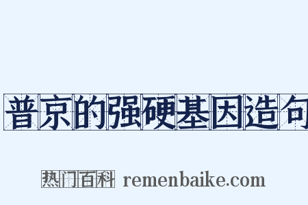 普京的强硬基因造句是什么意思的图片